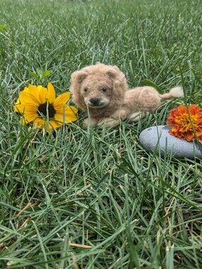 Leo The Lion Woolie Beasts Hand Felted In Canada With 100% Merino Wool